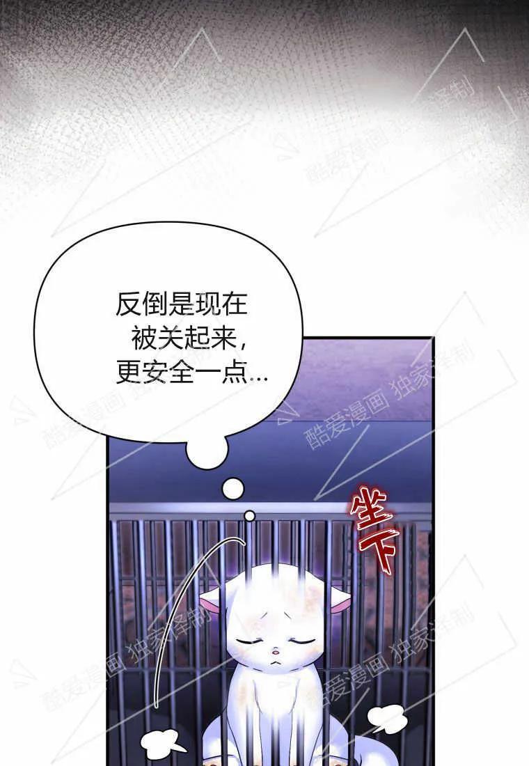 成为苏尔坦珍爱的猫咪 第02话 第42页