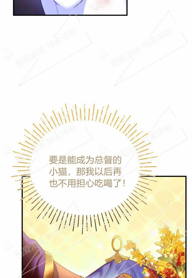 成为苏尔坦珍爱的猫咪 第02话 第47页