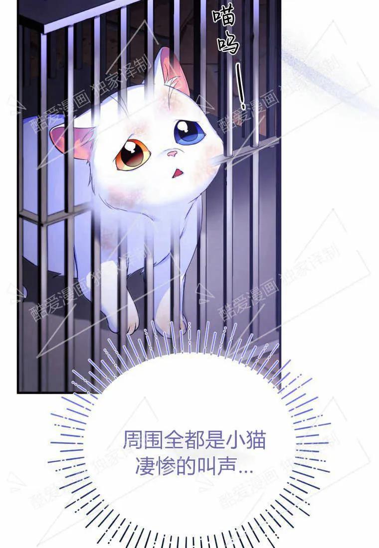 成为苏尔坦珍爱的猫咪 第02话 第35页