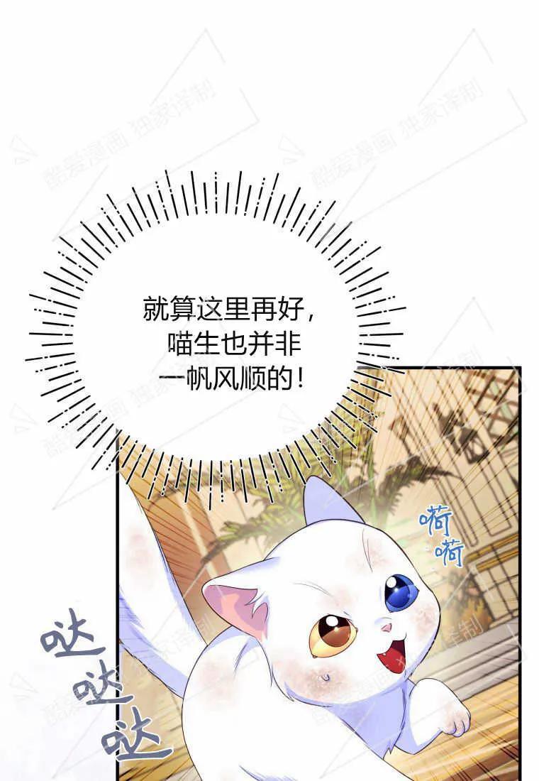 成为苏尔坦珍爱的猫咪 第02话 第102页