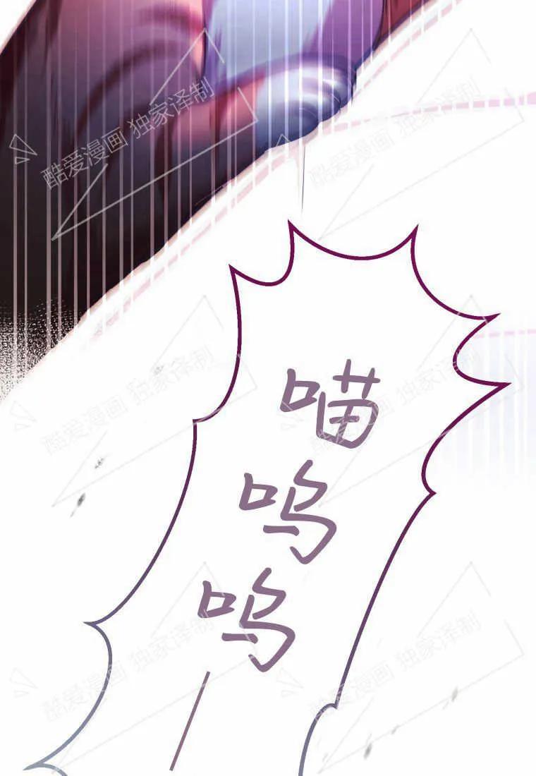 成为苏尔坦珍爱的猫咪 第02话 第30页