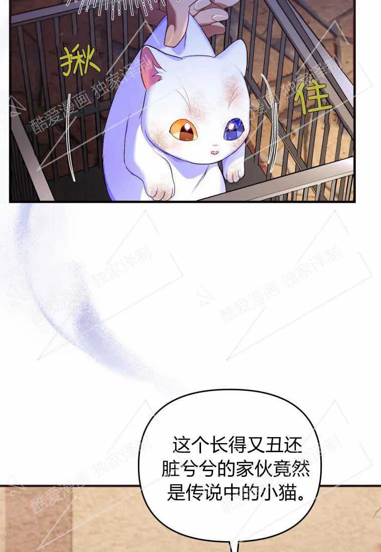 成为苏尔坦珍爱的猫咪 第02话 第80页