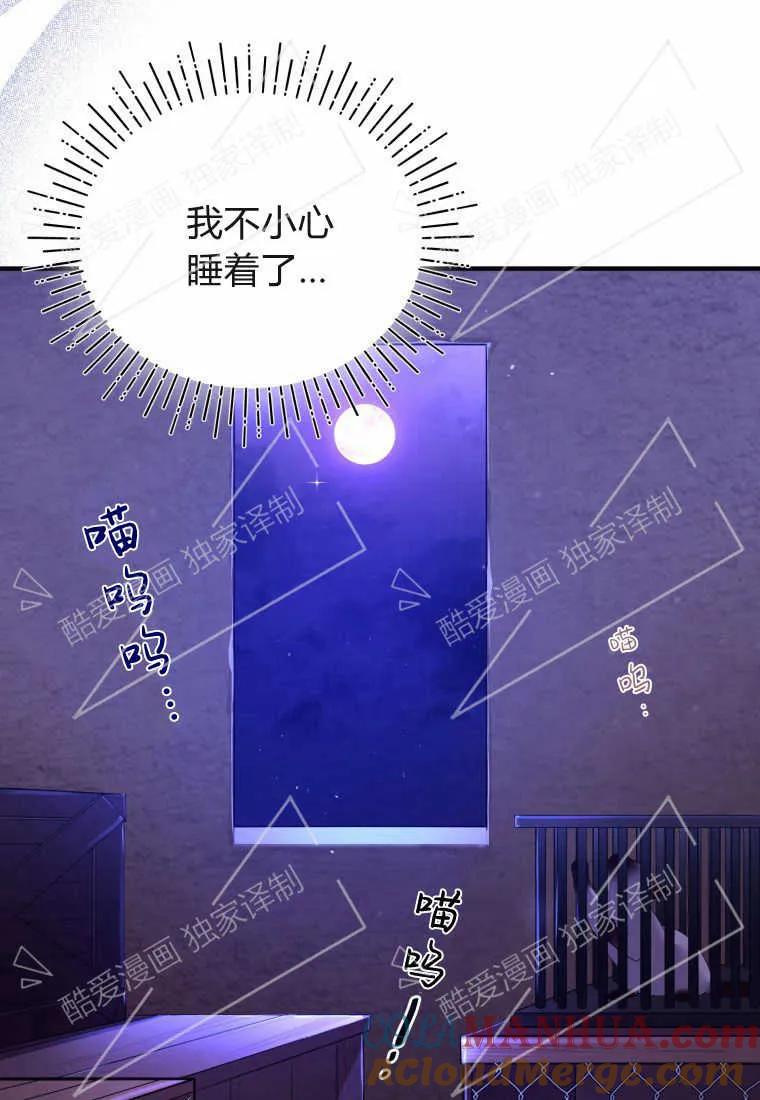 成为苏尔坦珍爱的猫咪 第02话 第33页