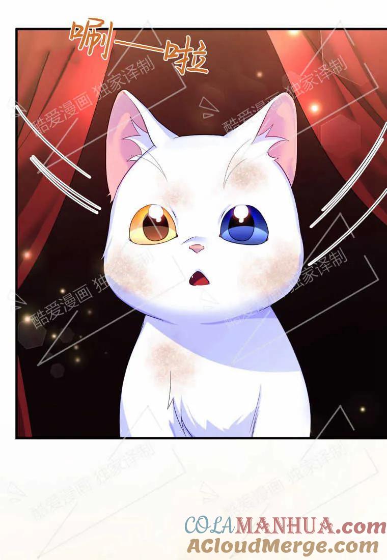 成为苏尔坦珍爱的猫咪 第02话 第93页