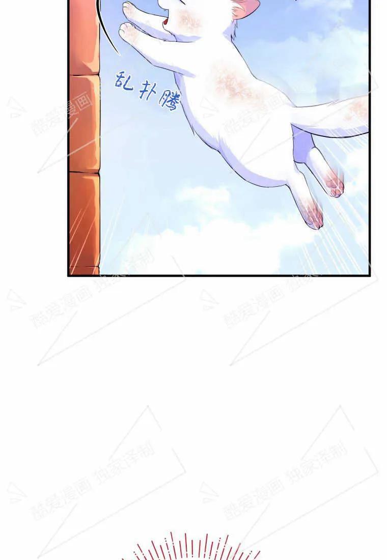 成为苏尔坦珍爱的猫咪 第02话 第3页