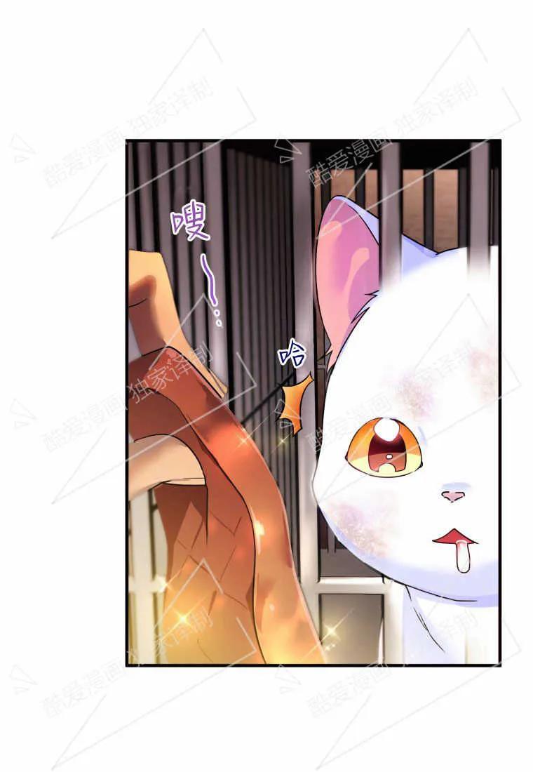 成为苏尔坦珍爱的猫咪 第02话 第62页