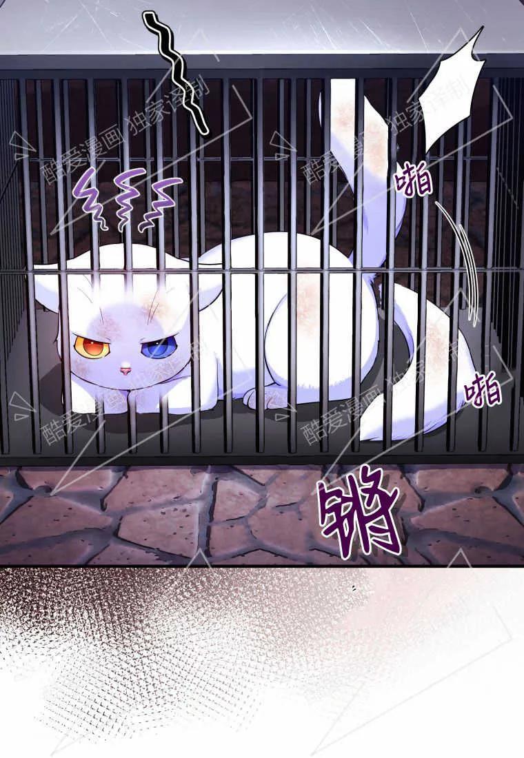 成为苏尔坦珍爱的猫咪 第02话 第10页
