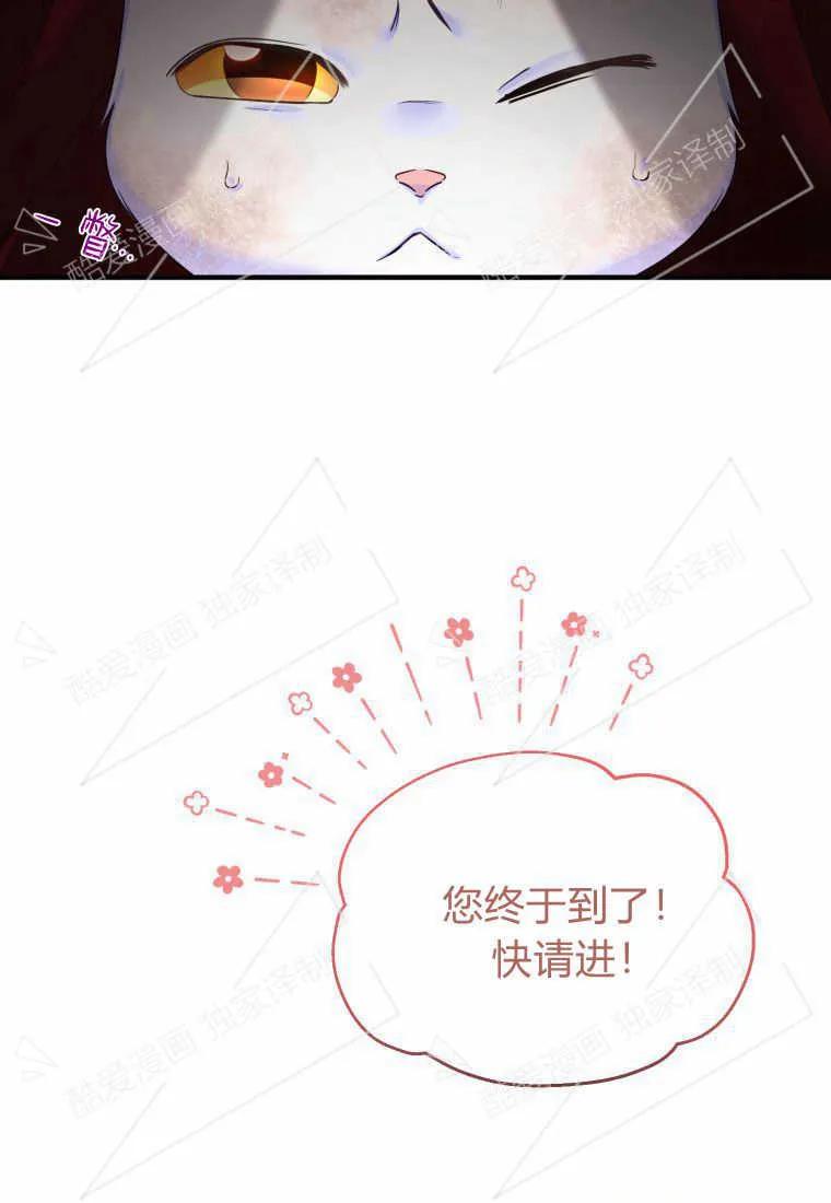 成为苏尔坦珍爱的猫咪 第02话 第92页