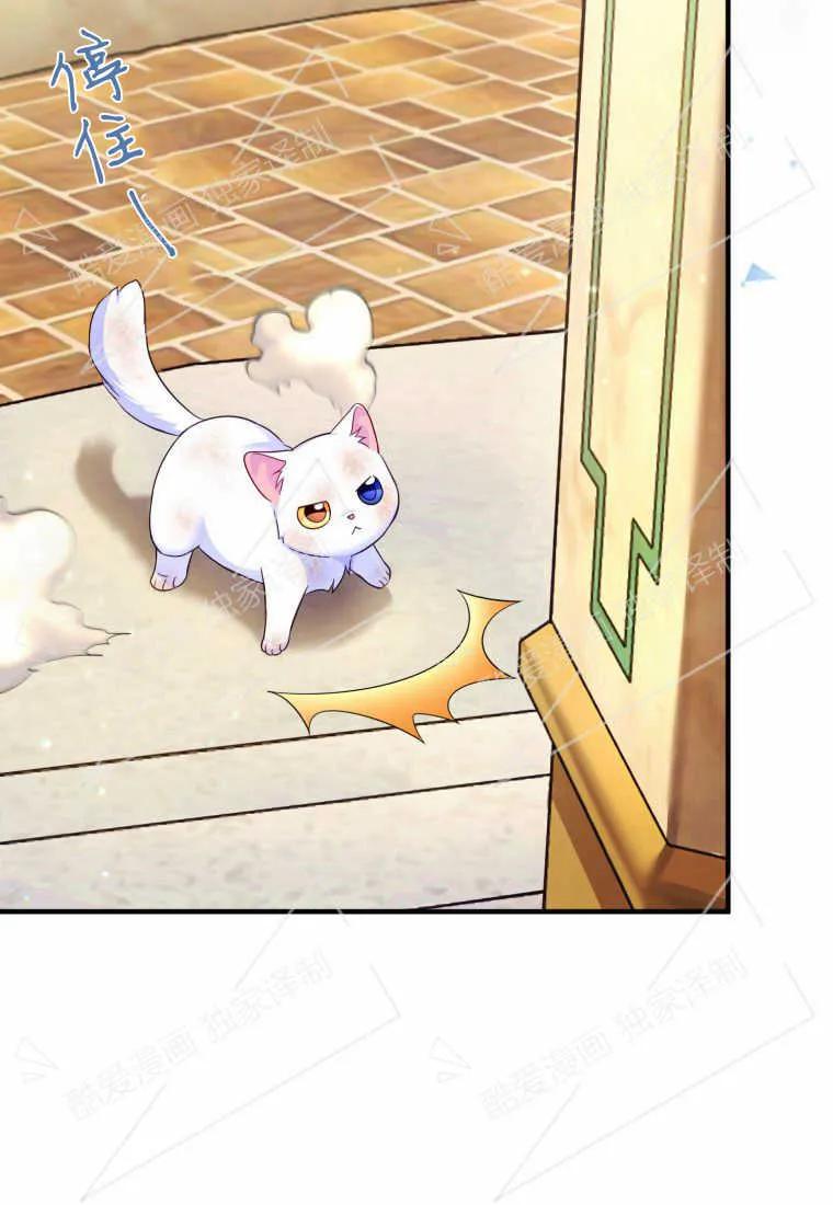 成为苏尔坦珍爱的猫咪 第02话 第104页