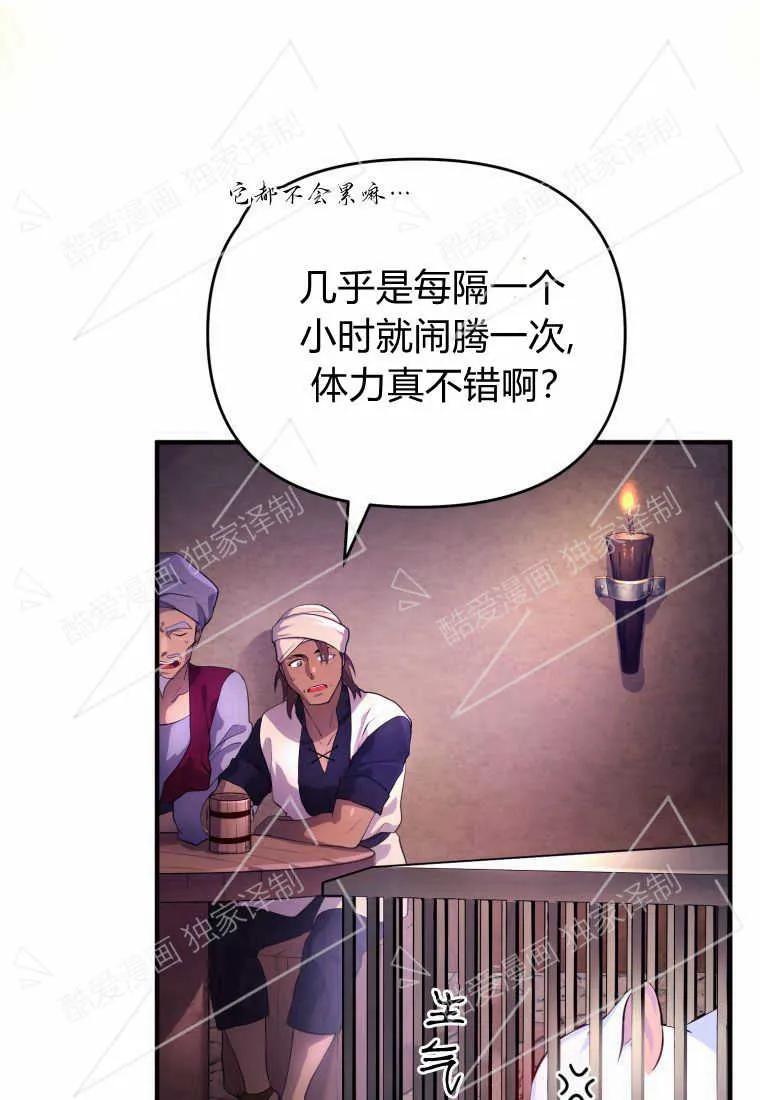 成为苏尔坦珍爱的猫咪 第02话 第11页