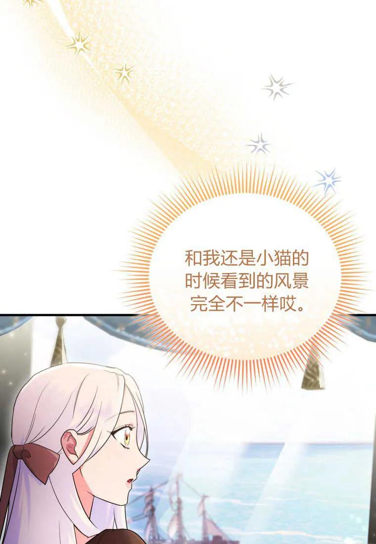 成为苏尔坦珍爱的猫咪 第20话 第4页