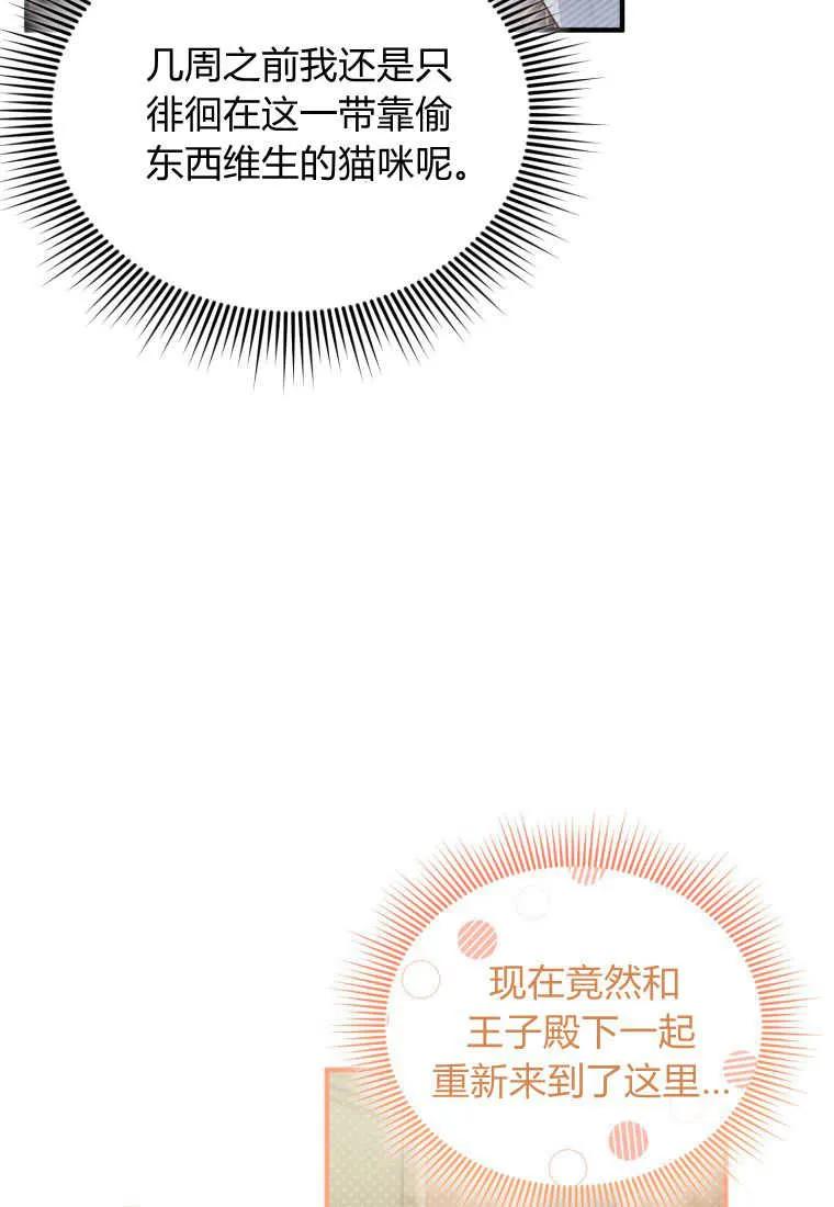 成为苏尔坦珍爱的猫咪 第20话 第48页