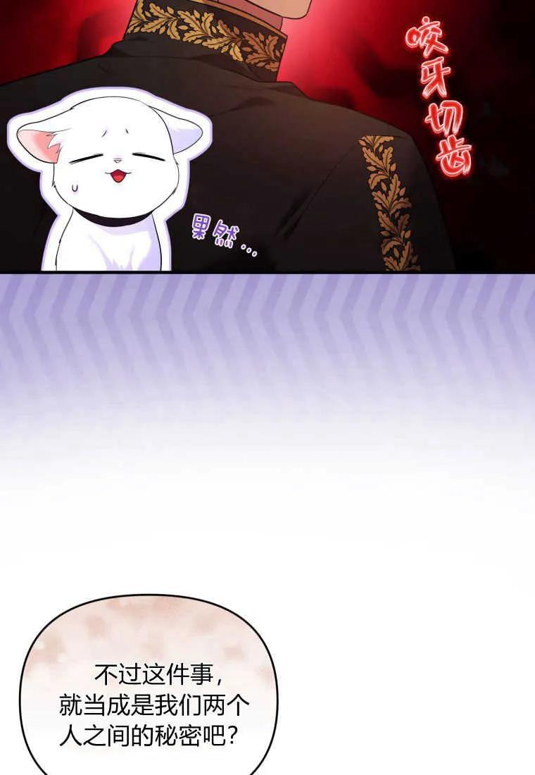 成为苏尔坦珍爱的猫咪 第21话 第68页