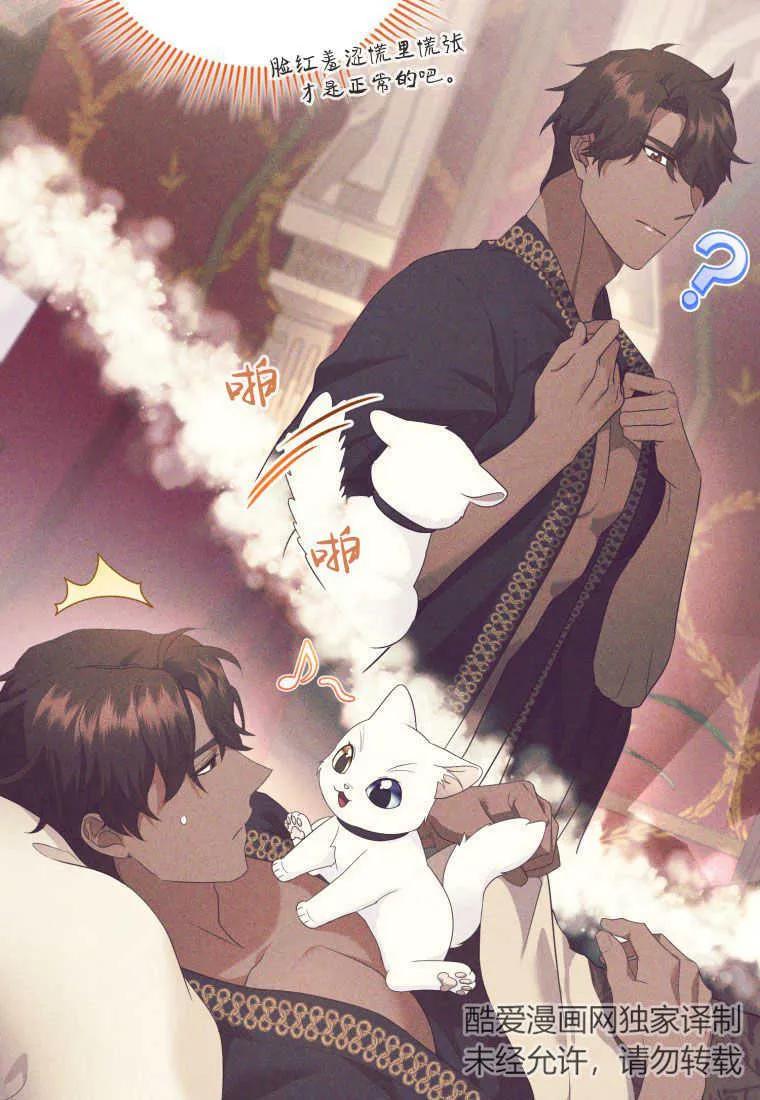 成为苏尔坦珍爱的猫咪 第21话 第42页