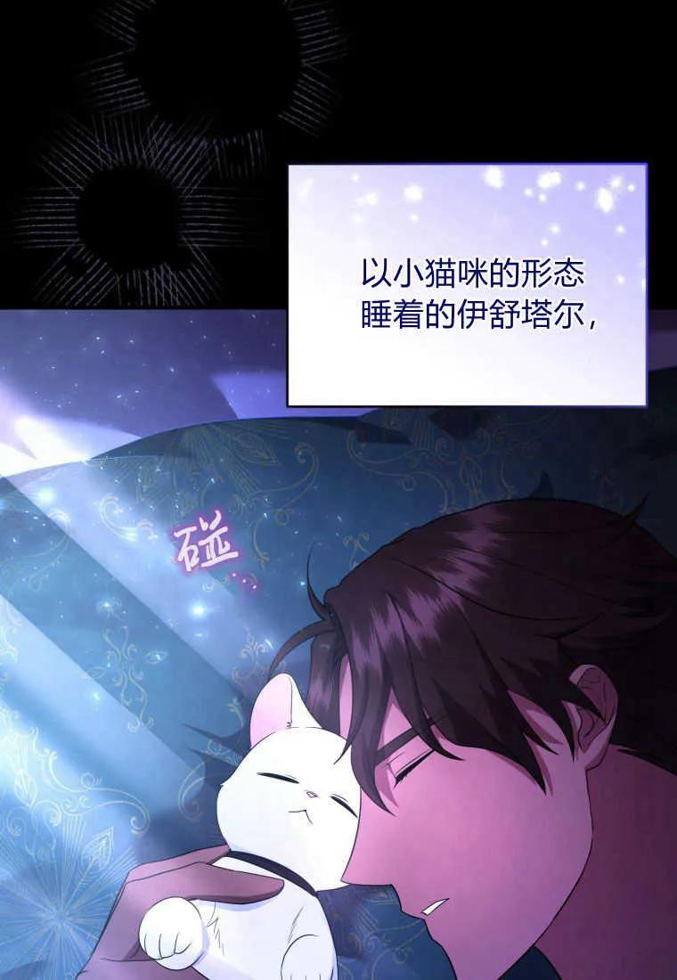 成为苏尔坦珍爱的猫咪 第22话 第30页