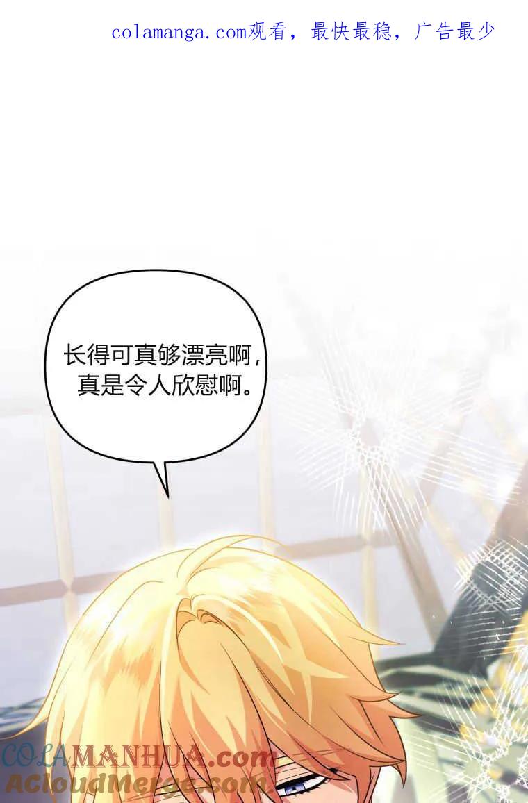 成为苏尔坦珍爱的猫咪 第23话 第1页