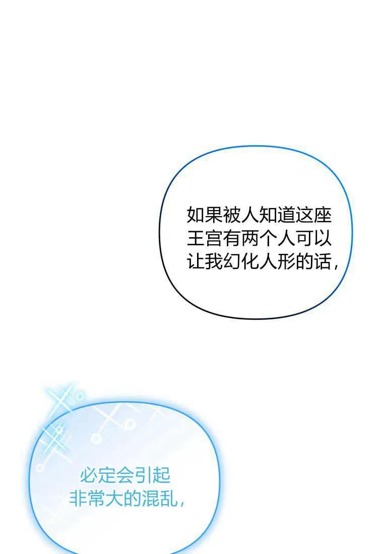 成为苏尔坦珍爱的猫咪 第25话 第92页