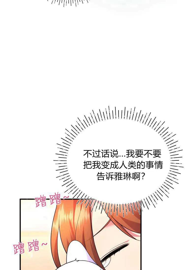 成为苏尔坦珍爱的猫咪 第25话 第107页