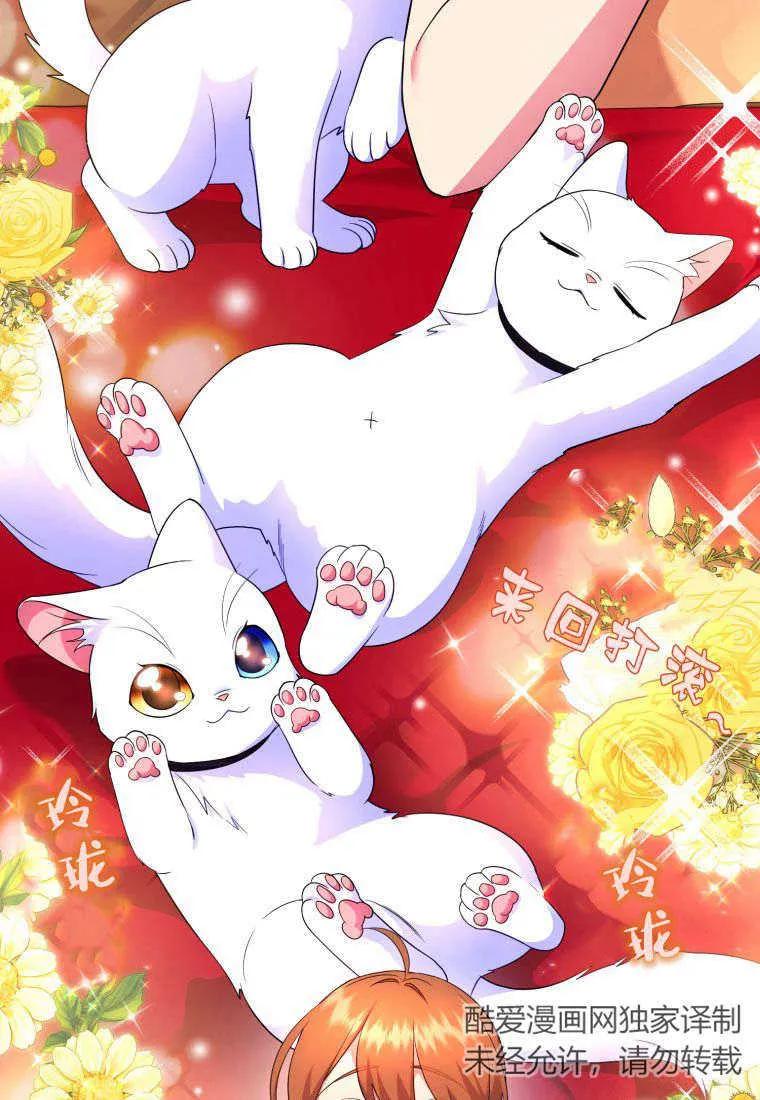成为苏尔坦珍爱的猫咪 第25话 第104页