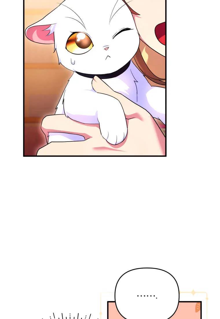 成为苏尔坦珍爱的猫咪 第25话 第108页
