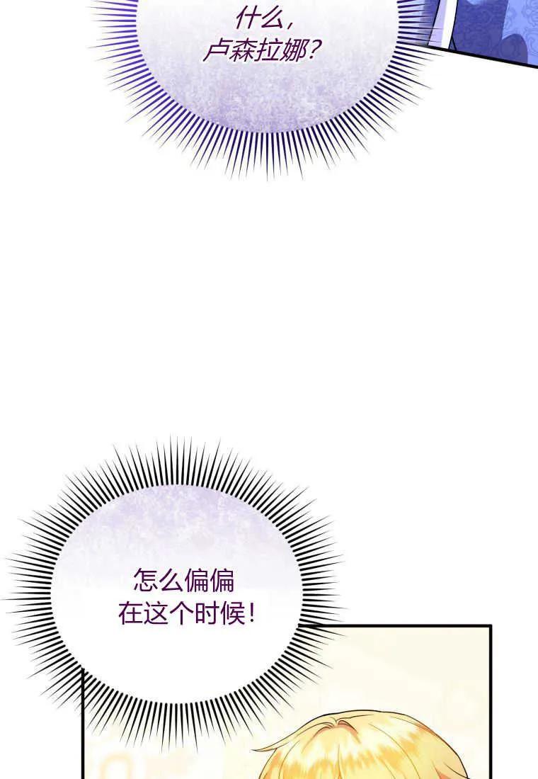 成为苏尔坦珍爱的猫咪 第25话 第43页