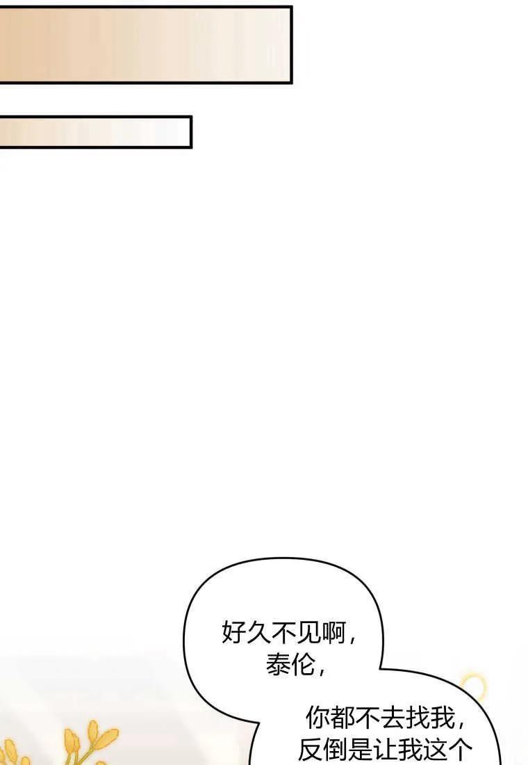 成为苏尔坦珍爱的猫咪 第25话 第46页
