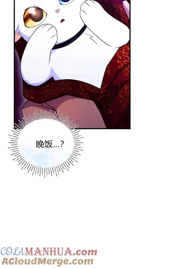 成为苏尔坦珍爱的猫咪 第26话 第29页