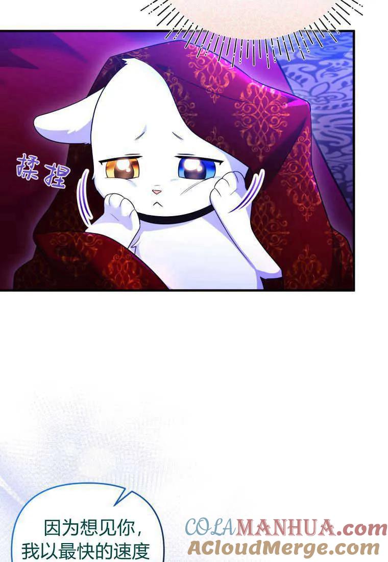 成为苏尔坦珍爱的猫咪 第26话 第25页