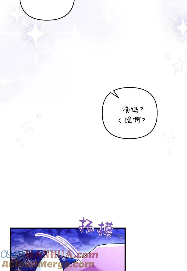 成为苏尔坦珍爱的猫咪 第26话 第5页