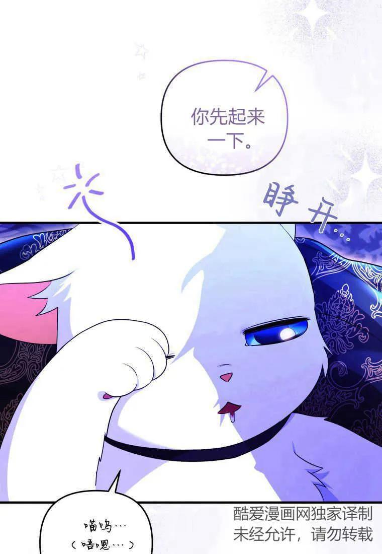 成为苏尔坦珍爱的猫咪 第26话 第4页