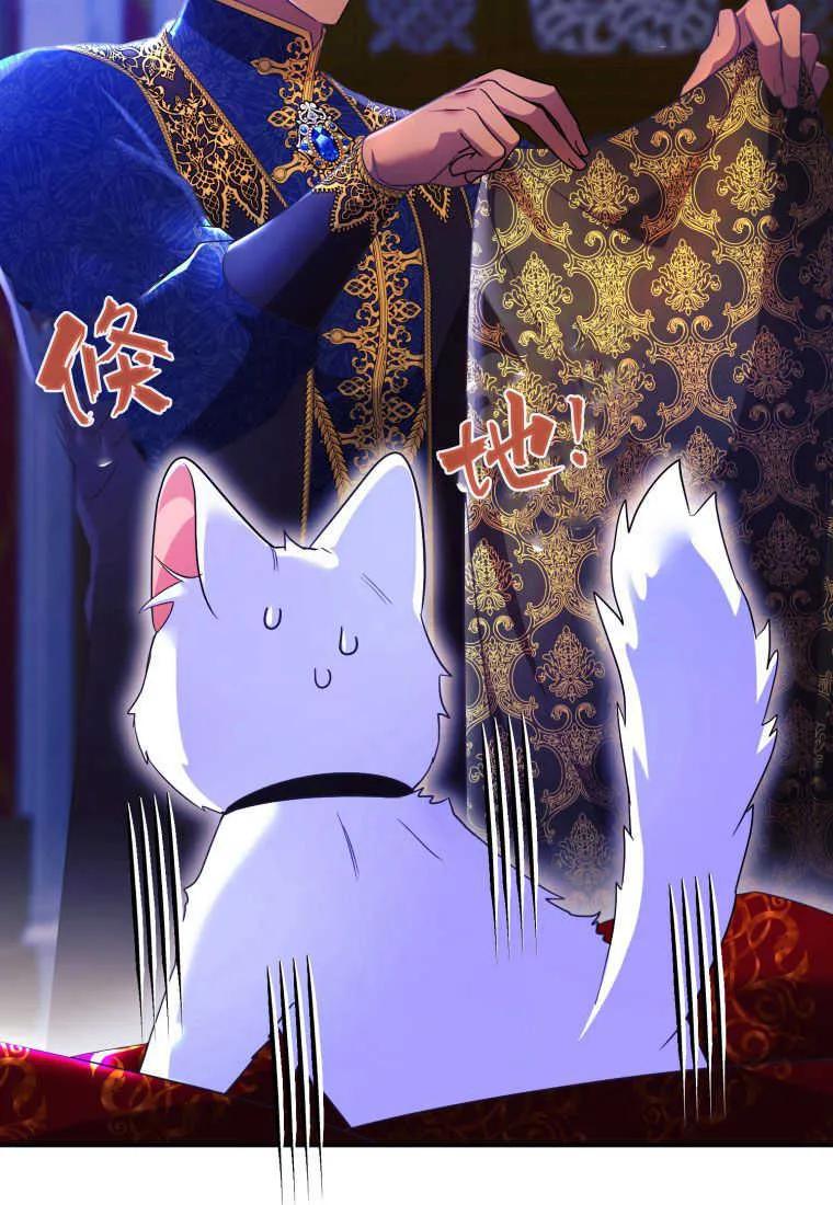 成为苏尔坦珍爱的猫咪 第26话 第11页