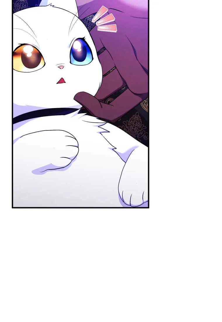 成为苏尔坦珍爱的猫咪 第26话 第6页