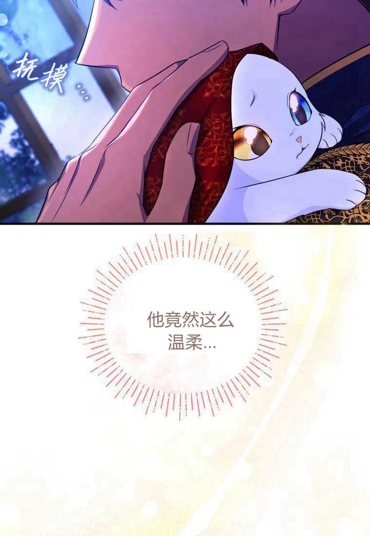 成为苏尔坦珍爱的猫咪 第26话 第19页
