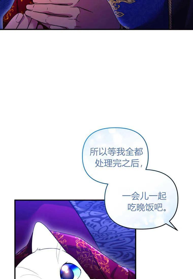 成为苏尔坦珍爱的猫咪 第26话 第28页