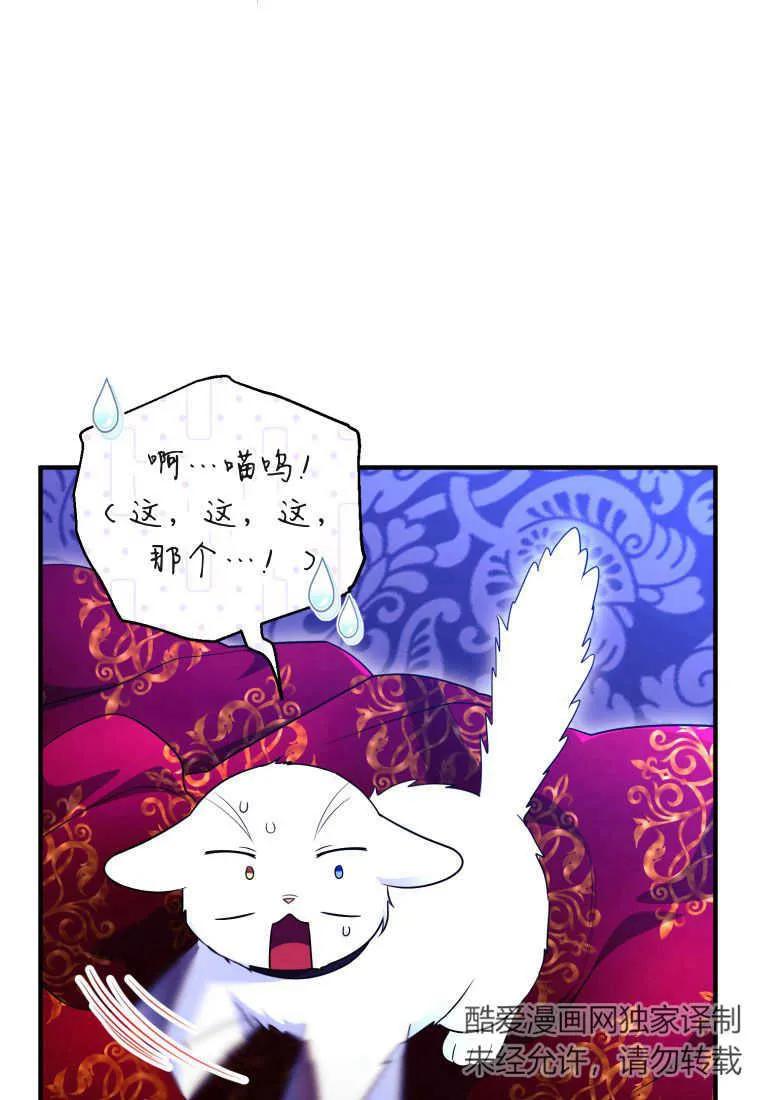 成为苏尔坦珍爱的猫咪 第26话 第12页