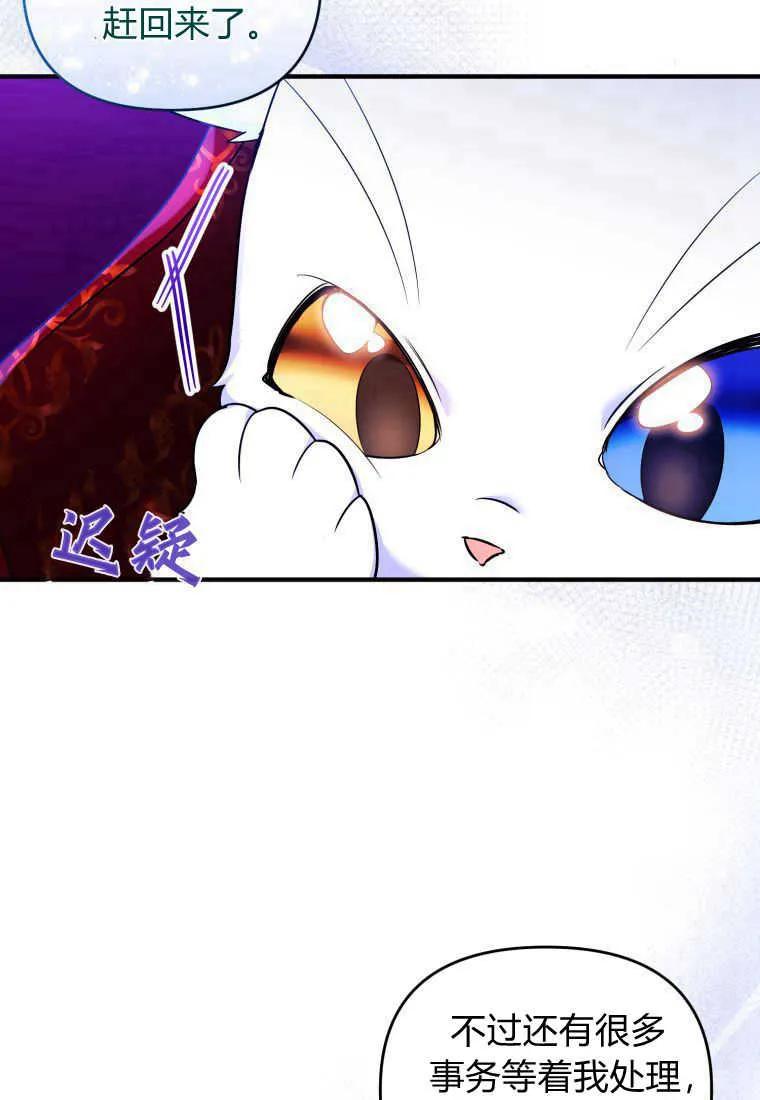 成为苏尔坦珍爱的猫咪 第26话 第26页