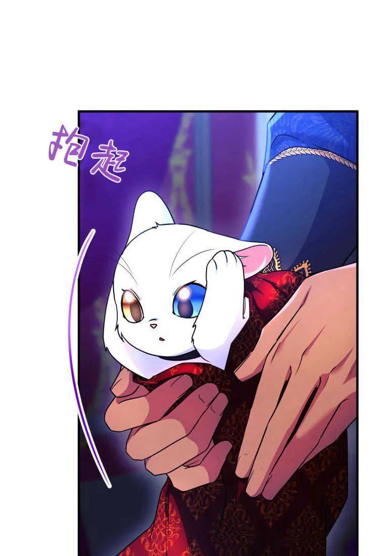 成为苏尔坦珍爱的猫咪 第26话 第15页