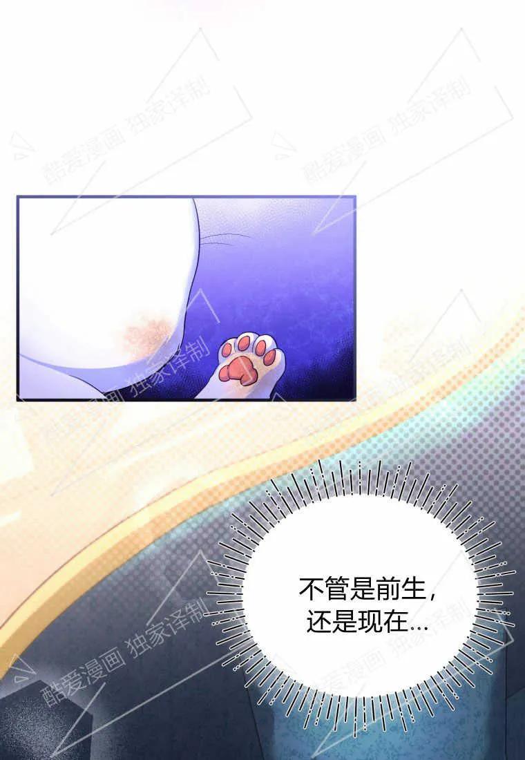 成为苏尔坦珍爱的猫咪 第03话 第44页