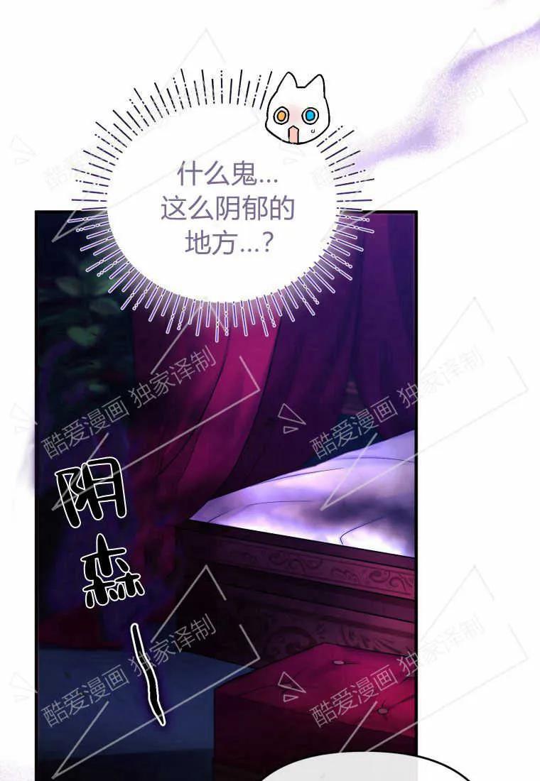 成为苏尔坦珍爱的猫咪 第03话 第126页