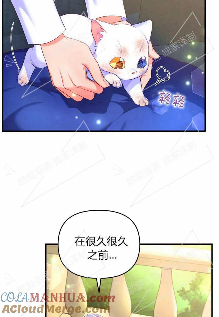 成为苏尔坦珍爱的猫咪 第03话 第21页