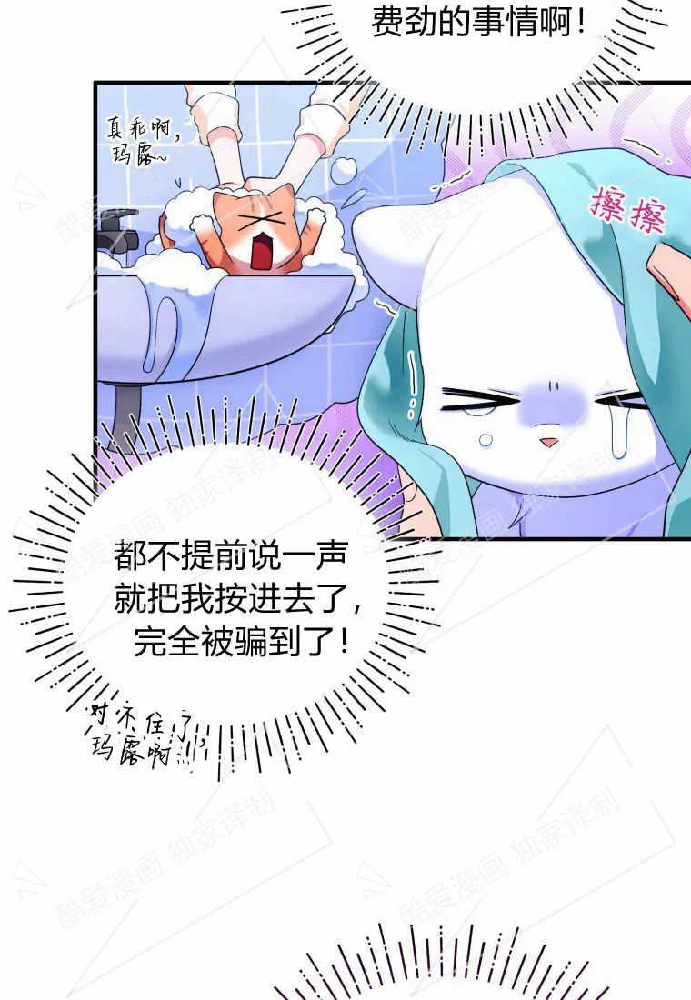 成为苏尔坦珍爱的猫咪 第03话 第104页