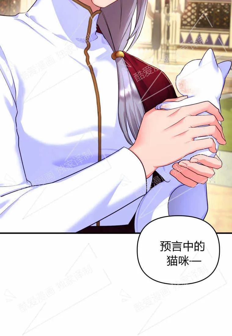 成为苏尔坦珍爱的猫咪 第03话 第14页