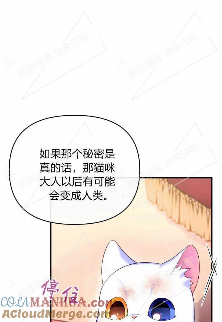 成为苏尔坦珍爱的猫咪 第03话 第85页
