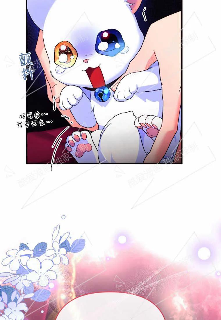 成为苏尔坦珍爱的猫咪 第03话 第131页