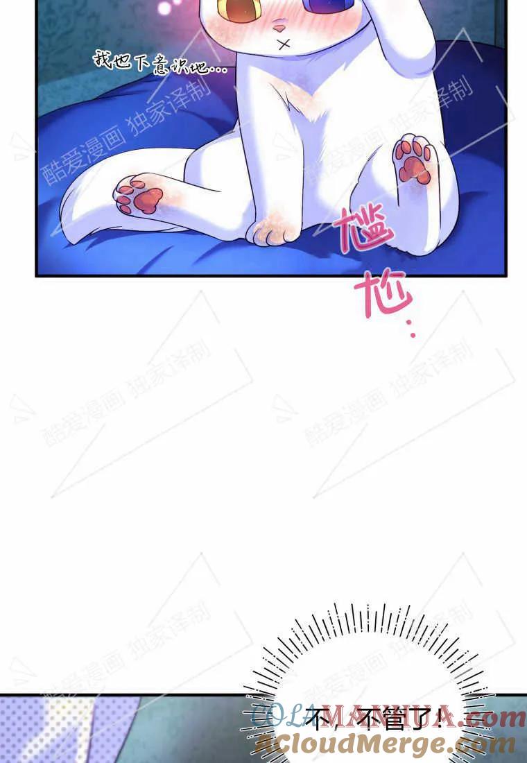成为苏尔坦珍爱的猫咪 第03话 第65页
