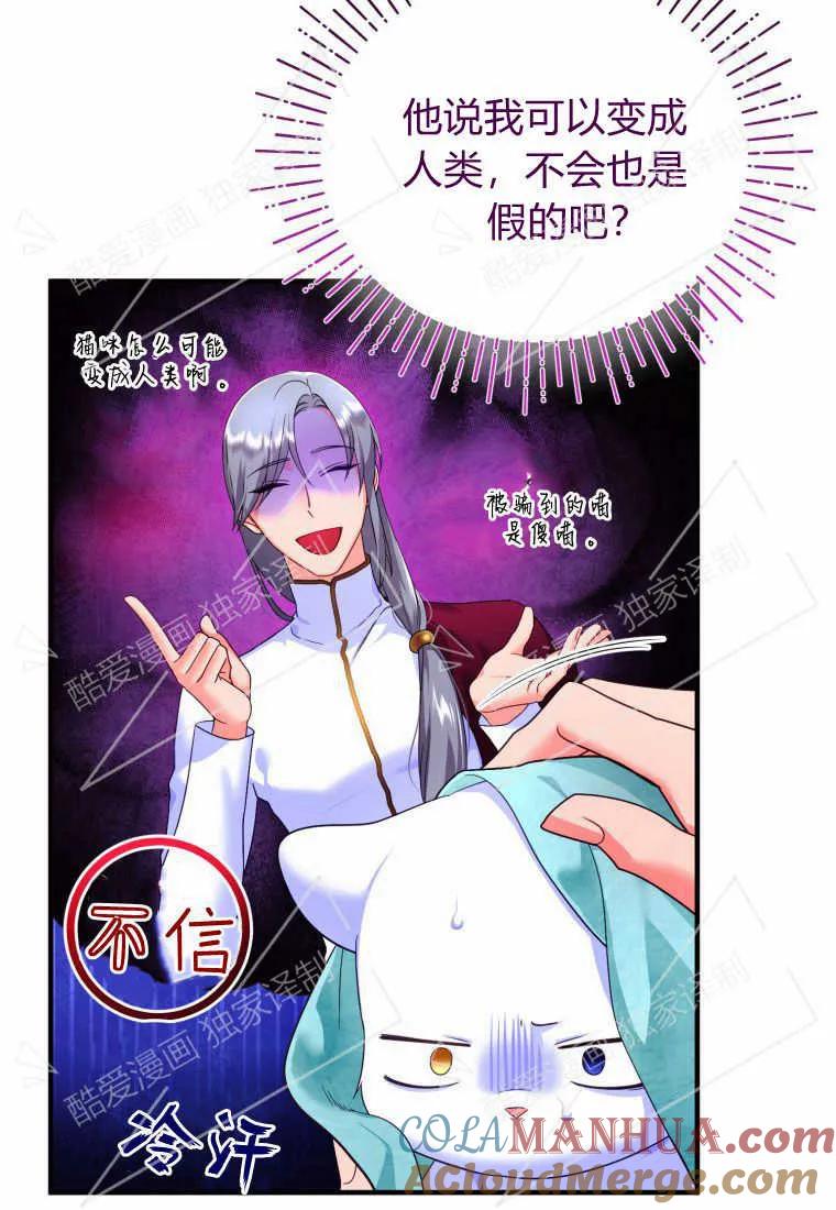 成为苏尔坦珍爱的猫咪 第03话 第105页