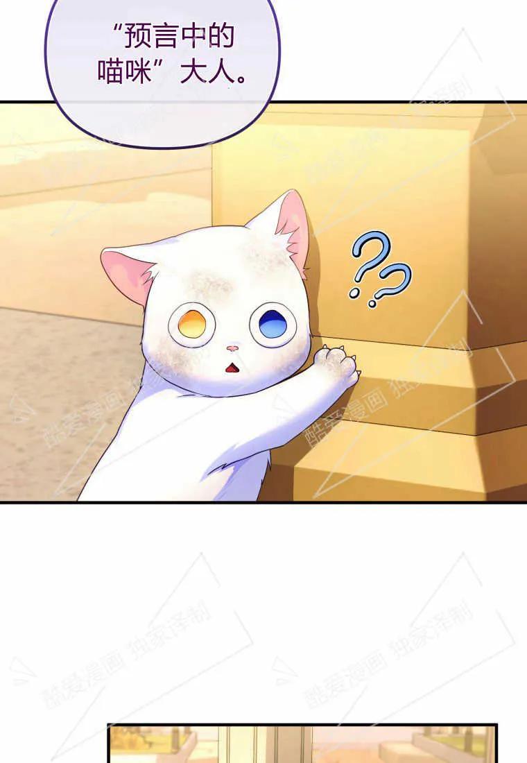 成为苏尔坦珍爱的猫咪 第03话 第3页