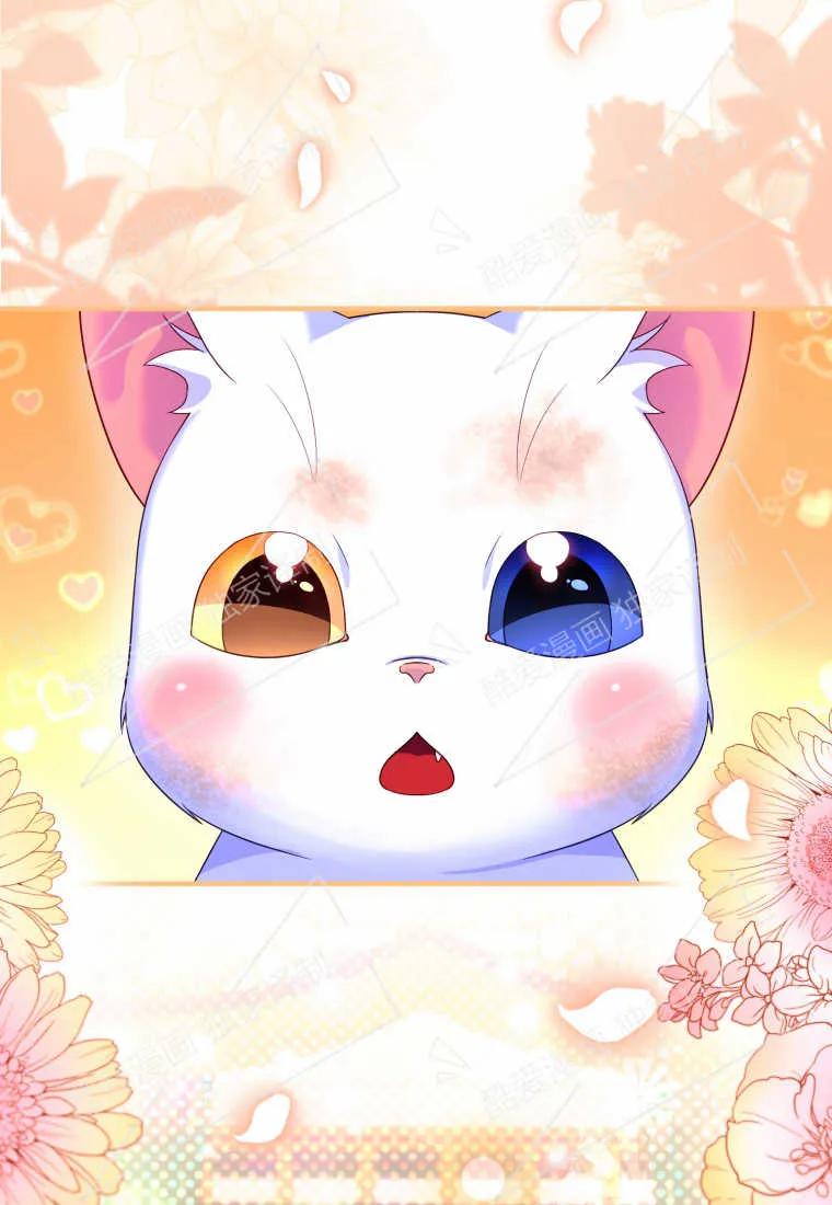 成为苏尔坦珍爱的猫咪 第03话 第72页