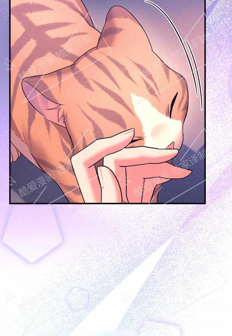 成为苏尔坦珍爱的猫咪 第03话 第60页