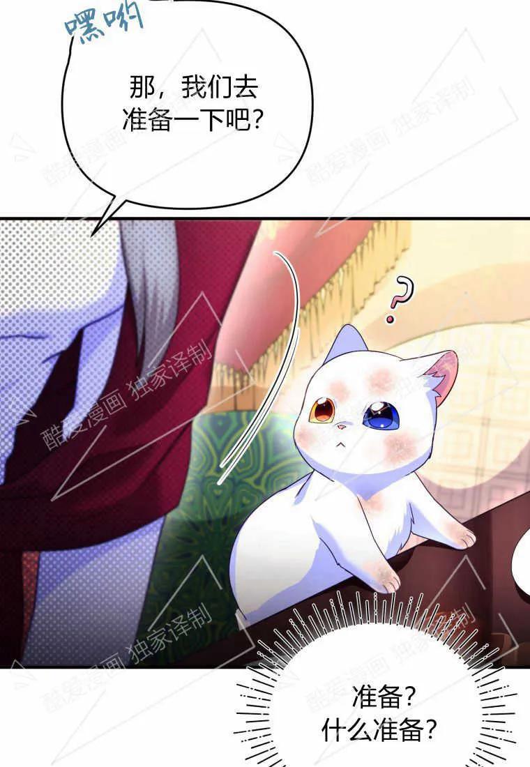 成为苏尔坦珍爱的猫咪 第03话 第96页